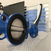 Ductile Iron Body Wafer Butterfly Valve