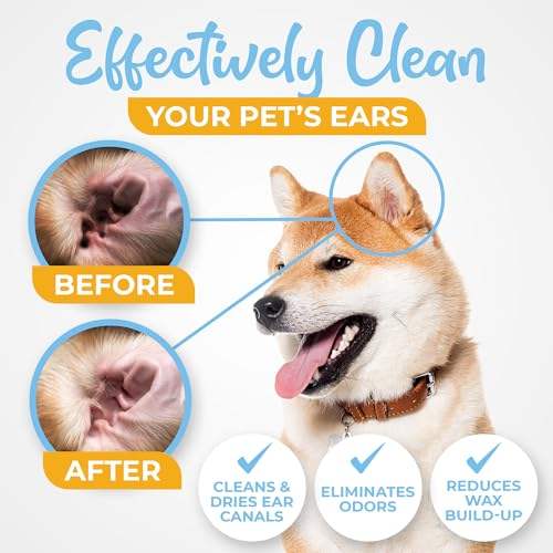 H9575d8b4075b4b8884205c372fbc5596u