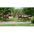 Garden Brass Horse Animal Statue