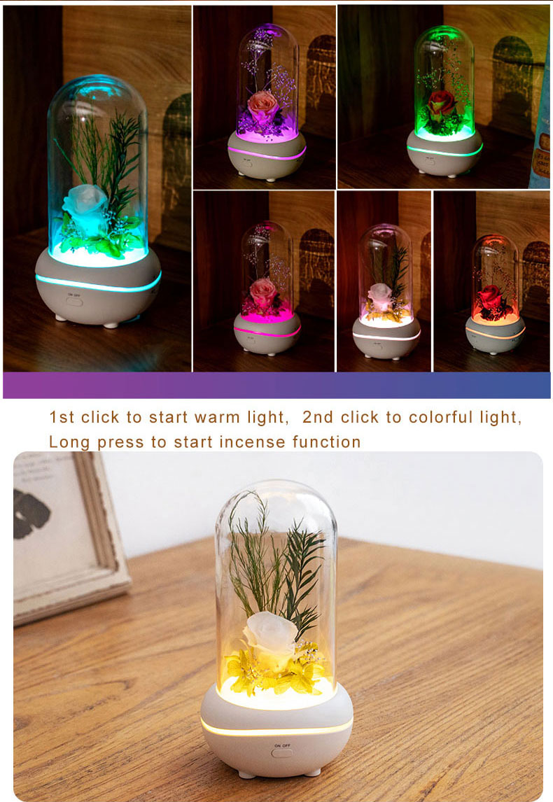 Electric Lamp Fragrance Warmer