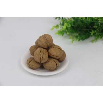 Wholesale Washed Walnuts Direct from Farm