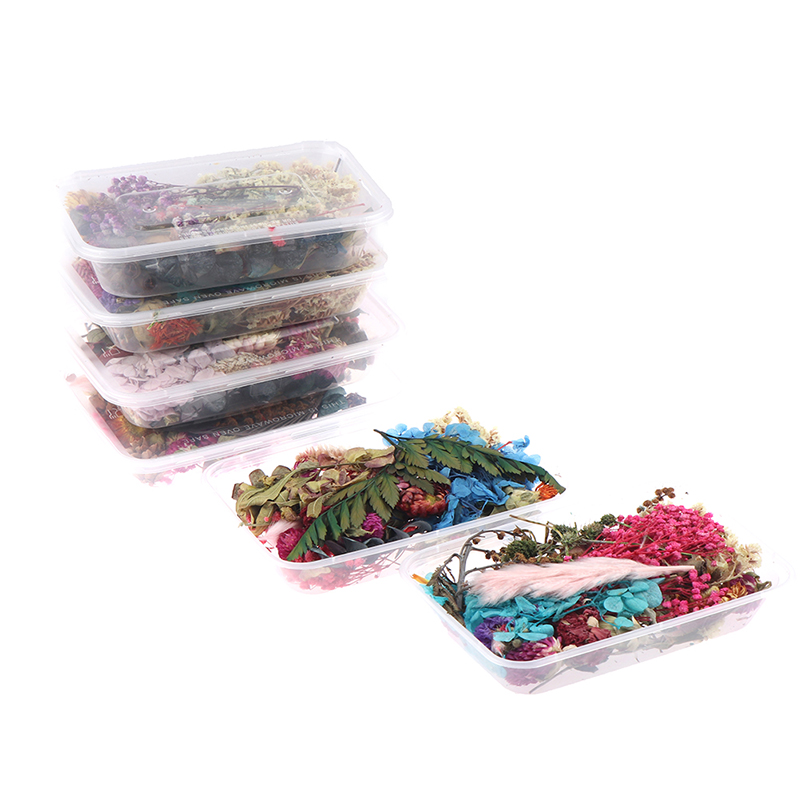 1 Box Real Mix Dried Flowers for Resin Jewellery Dry Plants Pressed Flowers Making Craft DIY Accessories