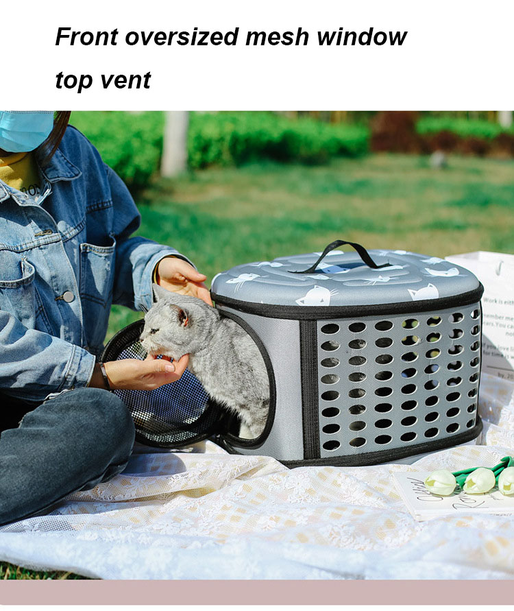 Pet Travel Carrier