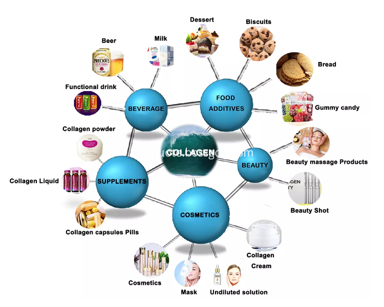 Fish Coolagen Peptide
