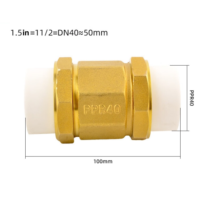Spring Brass Check Valve