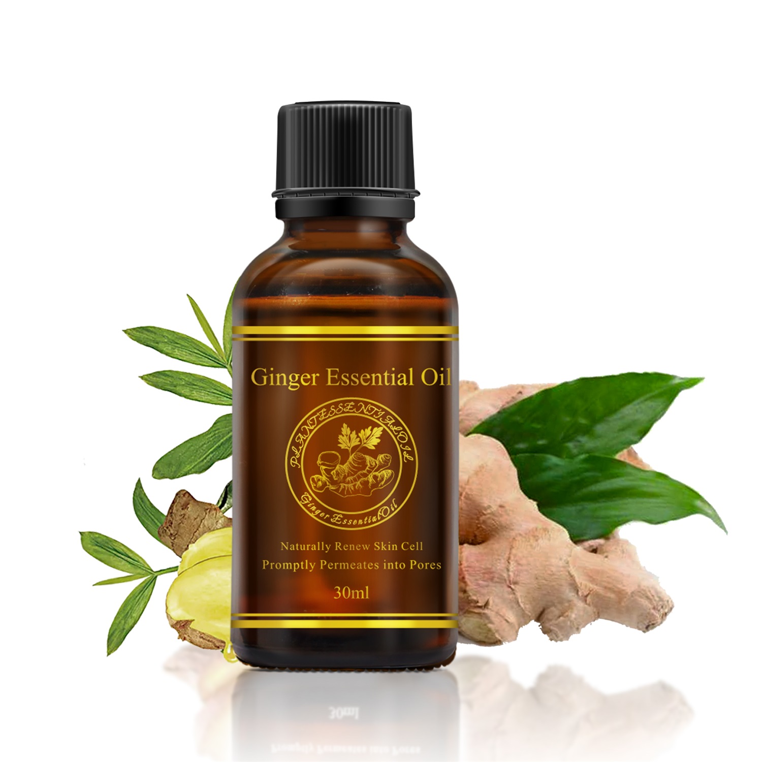 30ML Ginger Essential Oil Body Massage Oil Health and Beauty Aroma Oil Relive Stress Essential Oils Skin Care TSLM2