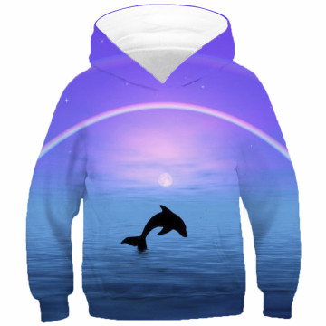 Dolphins Penguin Lion Swan Galaxy Print Children Hoodies Kids Baby Fashion Pullover Clothes Boys Girls Hooded Sweatshirts 4-13Y