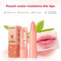 Lip Balm Lip Plumper Moisturizing Reduce Fine Lines Hyaluronic Acid Long-lasting Nourishing Relieve Dryness Lip Care TSLM2