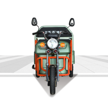 Small Electric cargo Tricycle