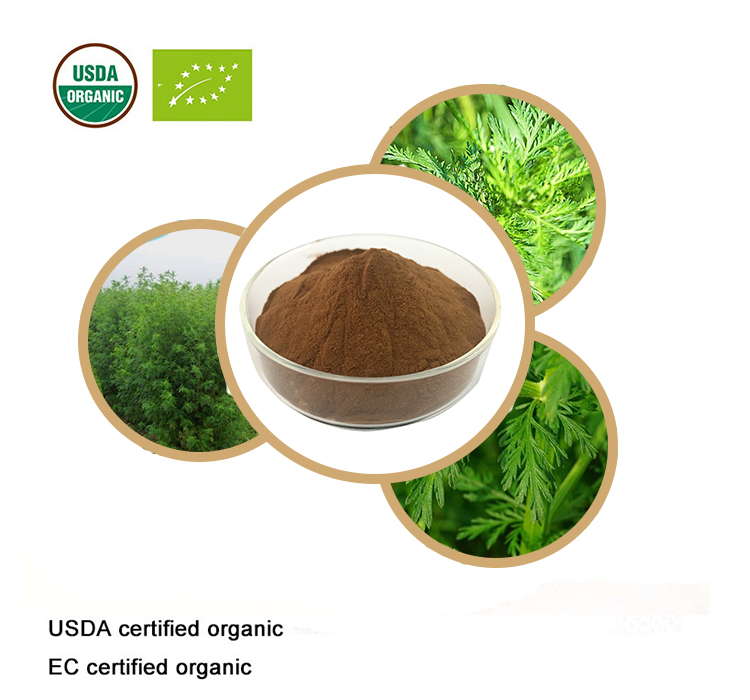 USDA and EC Certified Organic Artemisia annua extract 10:1 Sweet Wormwood Extract