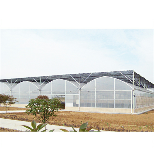 Multi Span Plastic Film Greenhouse For Agriculture Manufacturers and Multi Span Plastic Film Greenhouse For Agriculture Suppliers