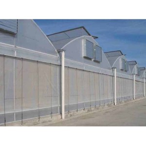 Poly multi span Greenhouse film greenhouse flower greenhouse