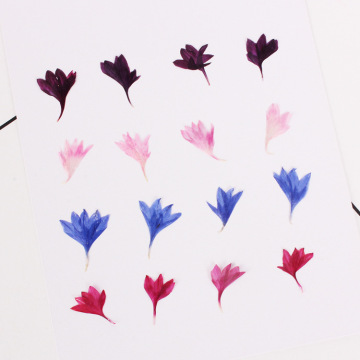 40PCS,Nature Pressed Flower,Real Touch Cornflower Petals,DIY Wedding invitations Craft Bookmark Gift Card,Flores Facial Decor