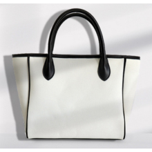 Luxury canvas and sufiber handbag
