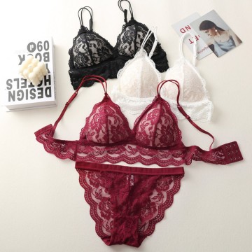 Transparent Lace Lingerie Set Sexy Embroidery Women Brassiere Padded Underwear Push Up Bra and Panty Sets