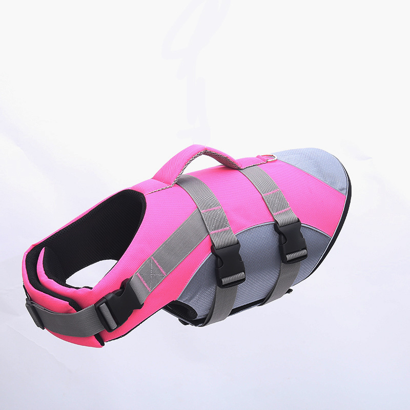 Best Dog Life Jacket 2021