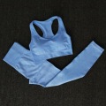 blue 2pcs bra set