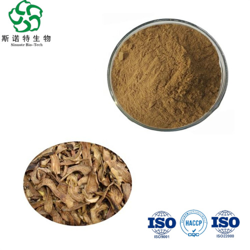 High Quality Boletus Edulis Mushroom Extract for Sale, Offer High Quality Boletus Edulis Mushroom Extract