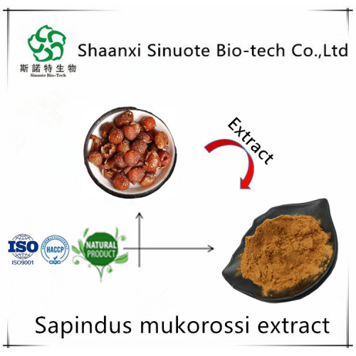 Barbed Skullcap Extract Baicalin 80% in Large Stock for Sale, Offer Barbed Skullcap Extract Baicalin 80% in Large Stock