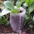 100pcs Nonwoven Fabric Nursery Pots Seedling-raising Bags Disposable Degradable Seedling Pouch Planting Bag Gardening Tools