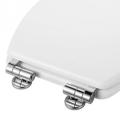 Universal Adjustable Pair of Replacement Chrome Toilet Seat Hinge Set Pair With Fittings for Different Size Seats