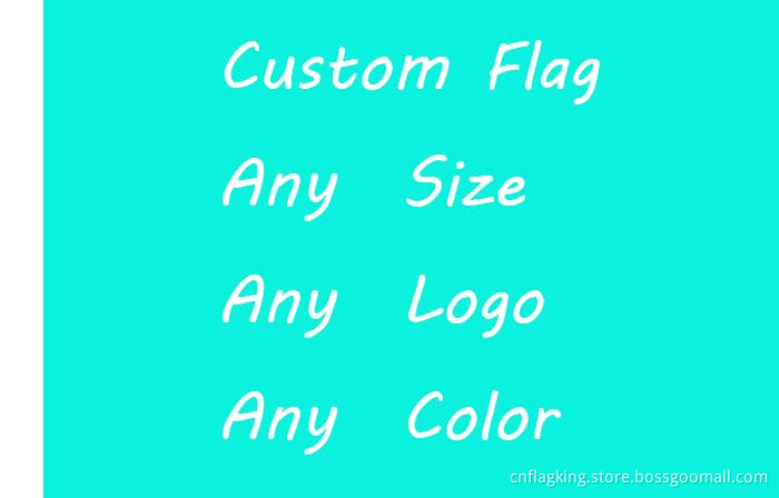 Custom Flag out door flag club flag Election flag sports