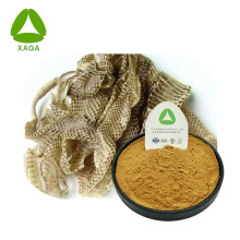 Snake Molting Extract Powder Skin Treatment Chinese medicine