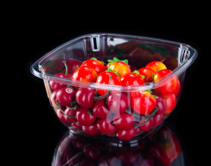 Food Grade Disposable Plastic Grape Containe