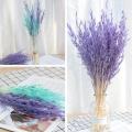 50pcs Natural Plant Colored Oat Dried Flower Hay Bouquet Modern Wedding Ceremony Decoration Home Flower Decoration S5Z4