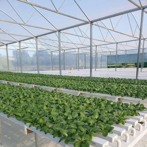 Environmental Nft Hydroponic Pipe For Vegetable Manufacturers and Environmental Nft Hydroponic Pipe For Vegetable Suppliers