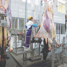 Cattle slaughterhouse dehinding machine