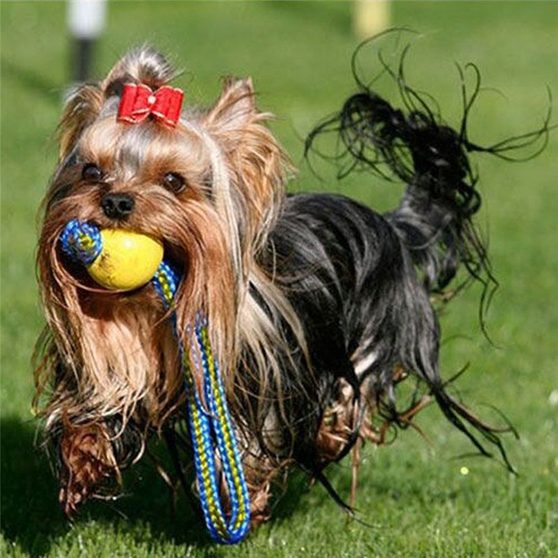 7/9cm Interactive Dog Toy Toothbrush EVA Dog Ball With Rope Pet Toys For Puppies Puppy Flexible in Water Pet Products