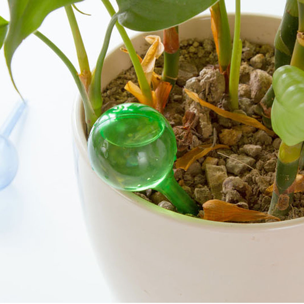 Flower Automatic Watering Device Houseplant Plant Pot Bulb Globe Garden House Waterer Water Cans Green best selling 2019 531