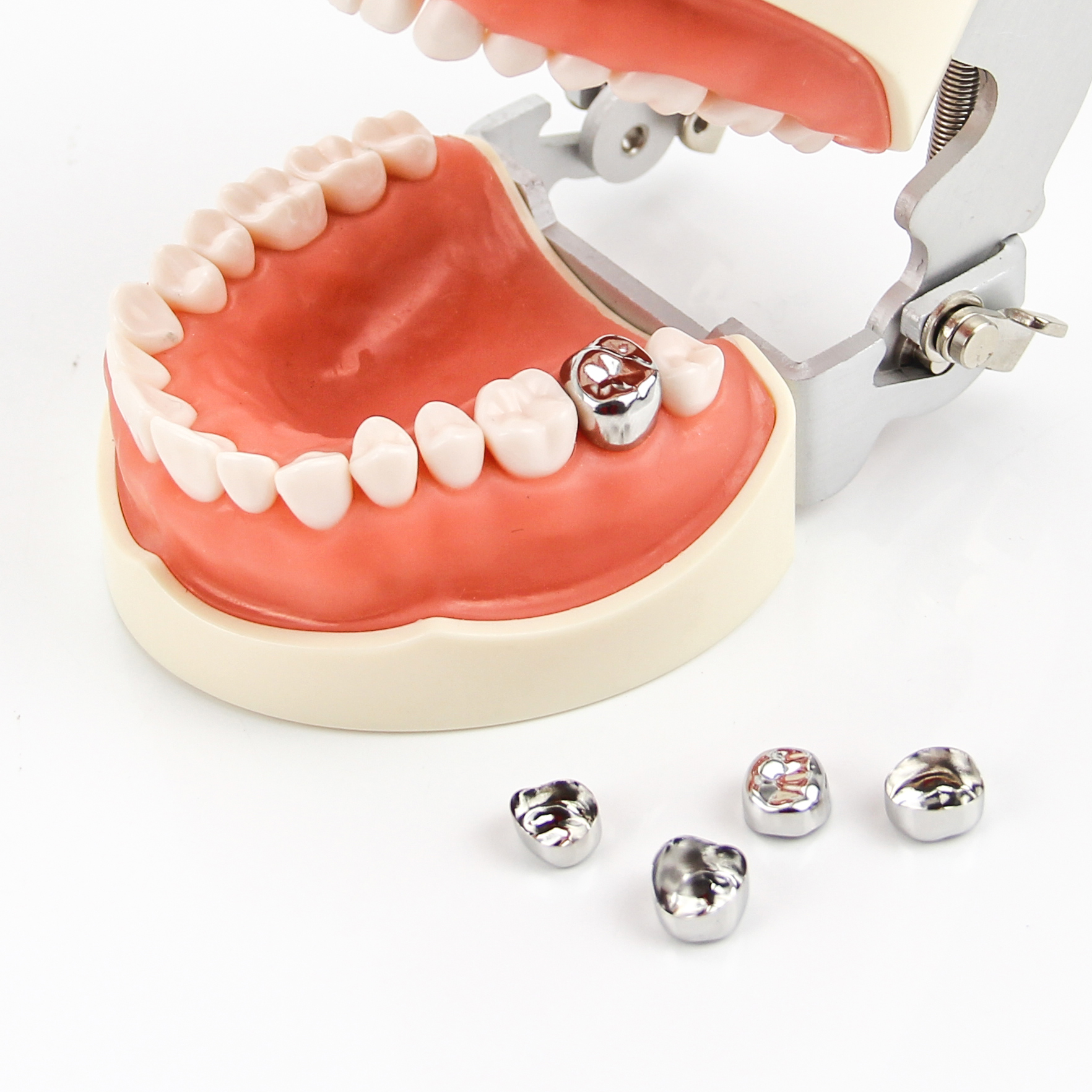 Dental Stainless Steel Molar Crowns
