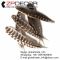 ZPDECOR 20-25cm(8-10inch) 50pieces/lot Selected Prime Quality Natural Beautiful Wild Turkey Wing Feather for DIY and Carnival