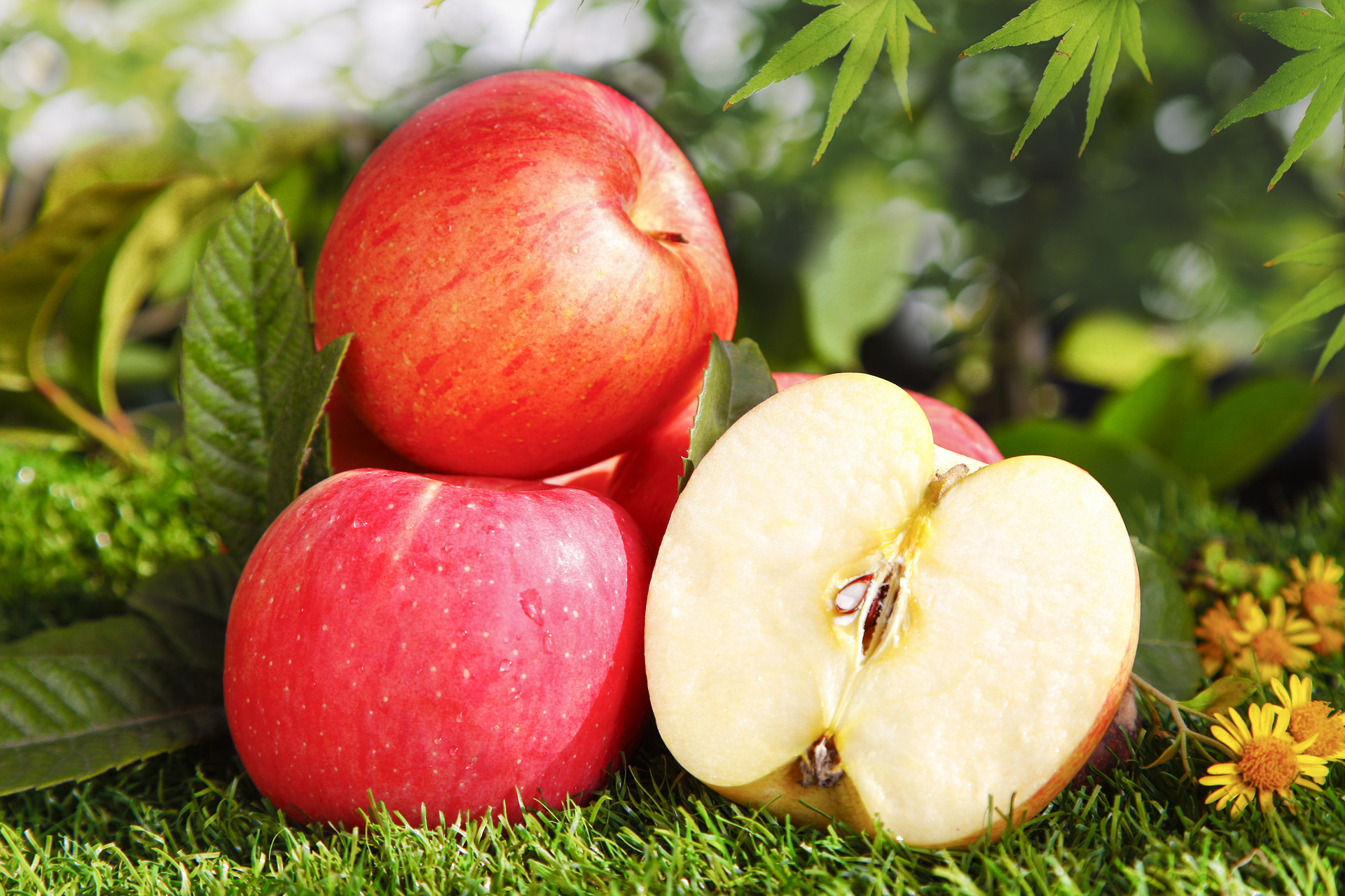 Apple
