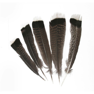 10 Pcs high quality natural Eagle bird feathers 25-30cm/10-12inch Selected Prime Quality Eagle feathers diy jewelry decoration