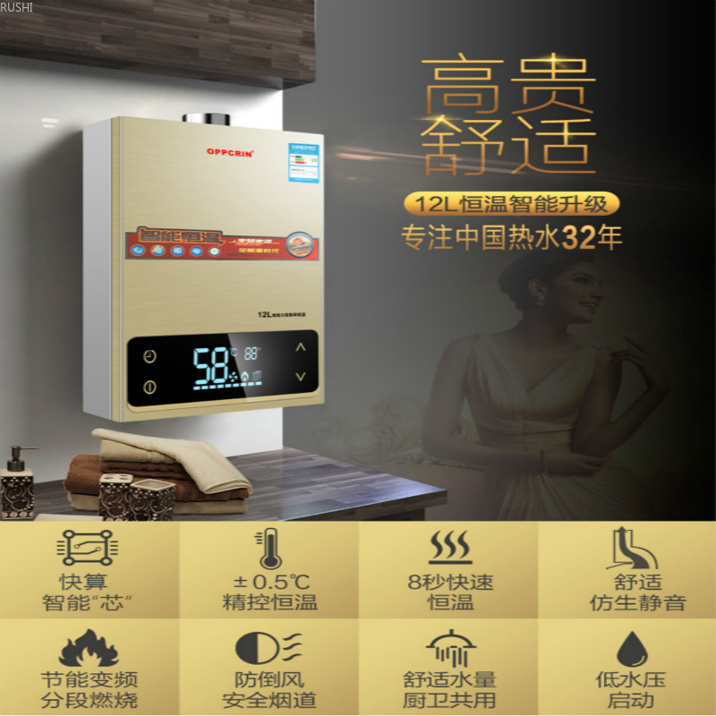 12L16L Gas Water Heater Bathing Frequency Conversion Intelligent Constant Temperature Natural Gas Liquefied Gas Strong Emission
