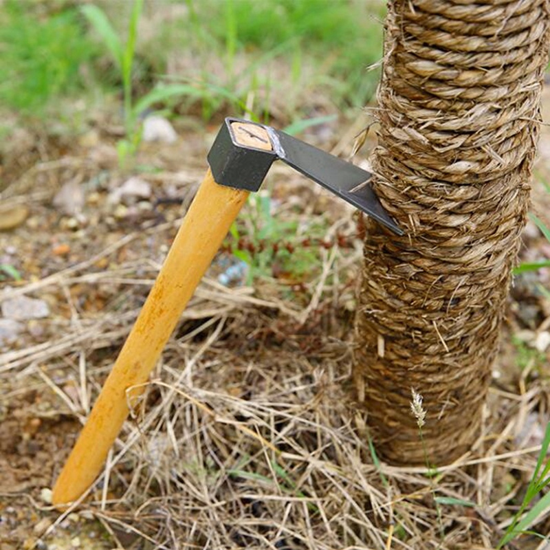 Hot Mini Hand Tools Wooden Handle Hoe Excavator Tool Steel Agricultural Tools Planting Vegetable Garden Agriculture Agriculture