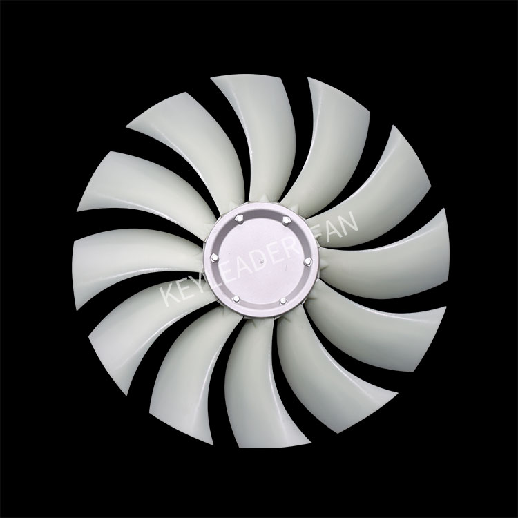 S14 N 12 3 Jpg