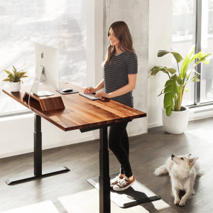 Electric Height Adjustable Desk Wood Desk