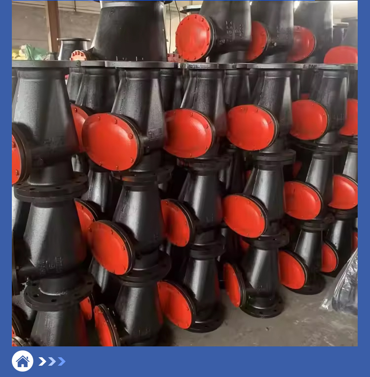 Flap Swing Check Valve