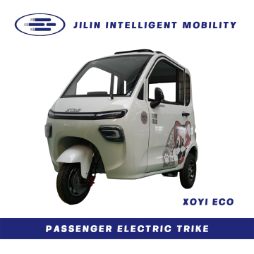 Enclosed Electric Tricycle-P3