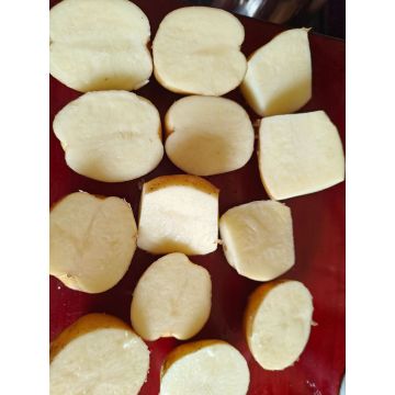 Crisp Frying Dedicated White Potato