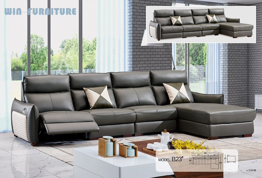 Living Room  Sofa