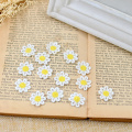 30Pieces Water Soluble Daisy Flower Lace Patch Applique Embroidery Fabric Handmade DIY Crafts Custom Clothing Accessories