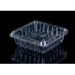 Clamshell plastic box with blueberry