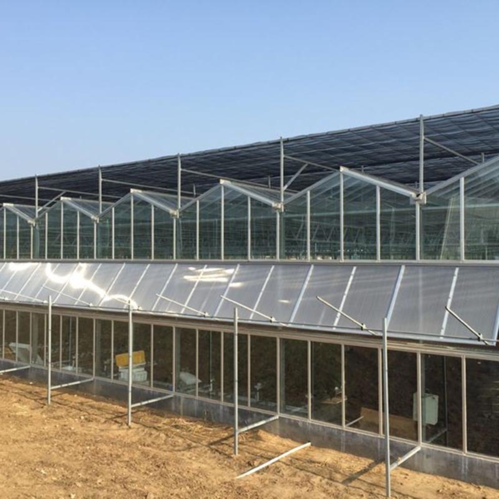 Sunshine Board Multi-span Greenhouse