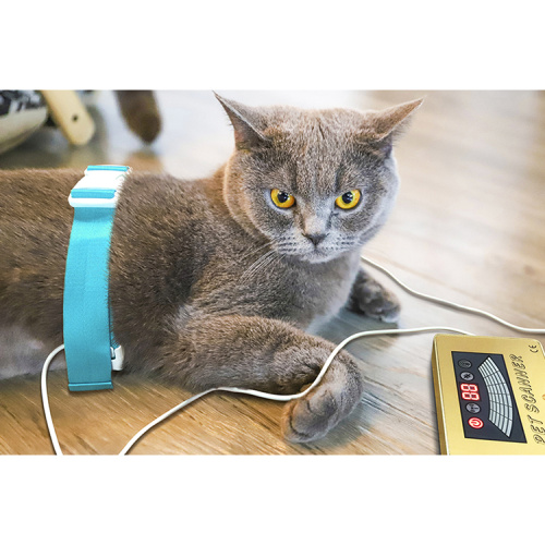 Pet Quantum Veterinary Detecting Animal's Body Health Device for Sale, Pet Quantum Veterinary Detecting Animal's Body Health Device wholesale From China