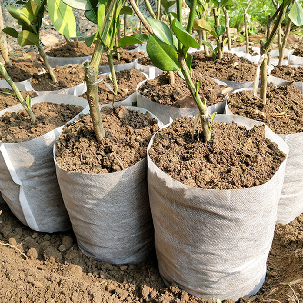Biodegradable Nonwoven Fabric Nursery Plant Grow Bags Seedling Growing Planter Planting Pots Garden Eco-Friendly Ventilate Bag